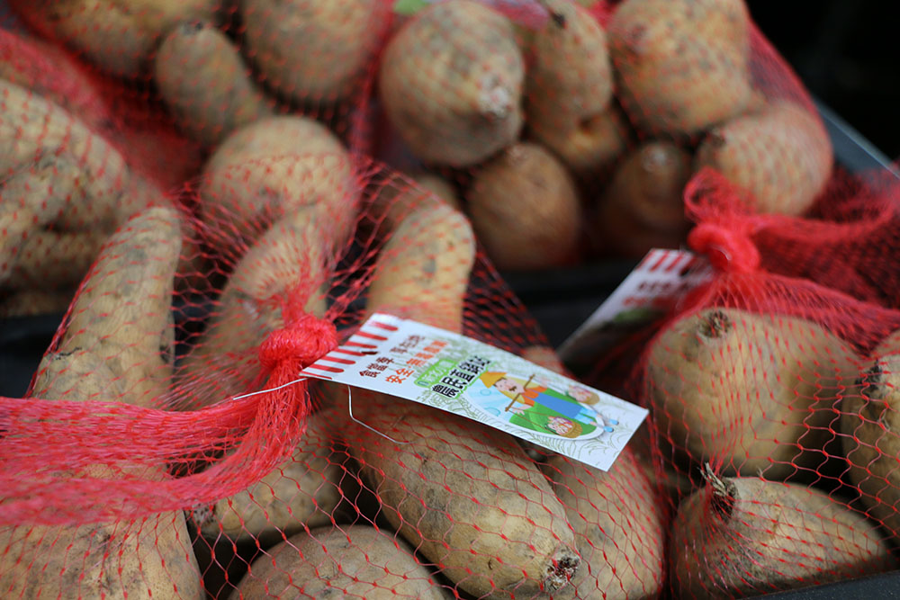 「台農57號」地瓜，色澤金黃，水分少、肉質Q。