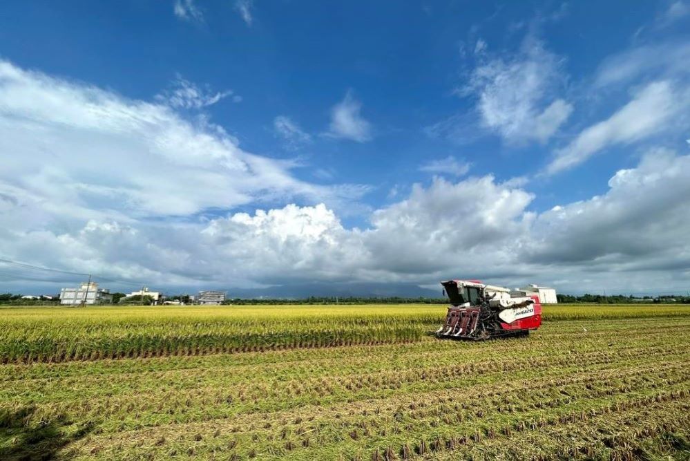 雲林斗南在日治時期是知名穀倉。(斗南農會提供)