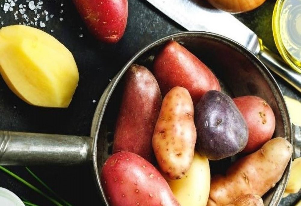 斗南彩色馬鈴薯不只好看,也好吃。(斗南農會提供)