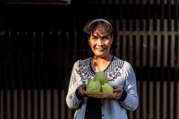 農友林汝與霧峰農民直銷站合作,上架水耕蔬菜及芭樂等生鮮