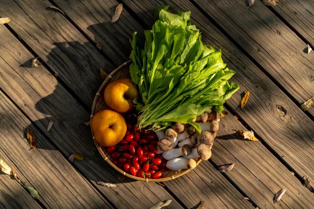 以鮮採上架、當令蔬果為主要銷售品項,將農友的種植哲學推廣至消費端