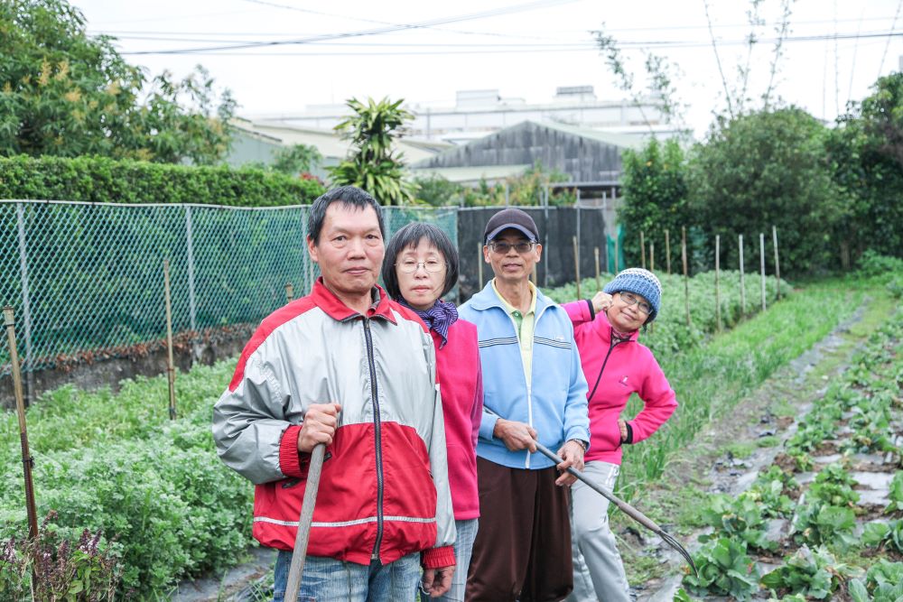 新北市樹林區農民林本舜與堂弟林參謀加上兩位賢內助,幾乎全年無休。