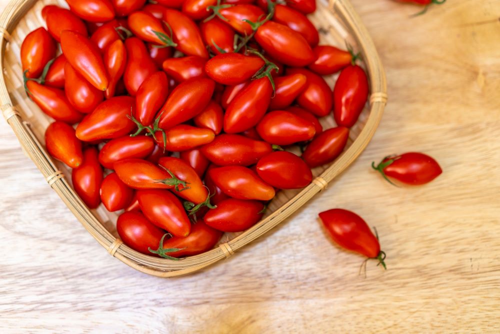 「芎林番茄」是站點的人氣王。