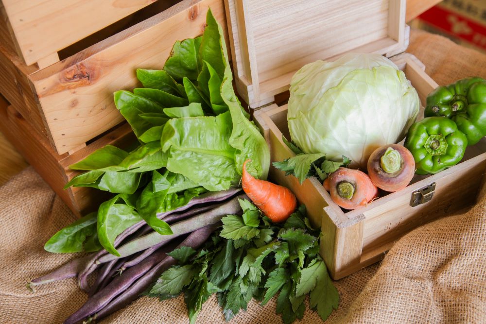 宜蘭縣農會農民直銷站各種鮮採蔬果。