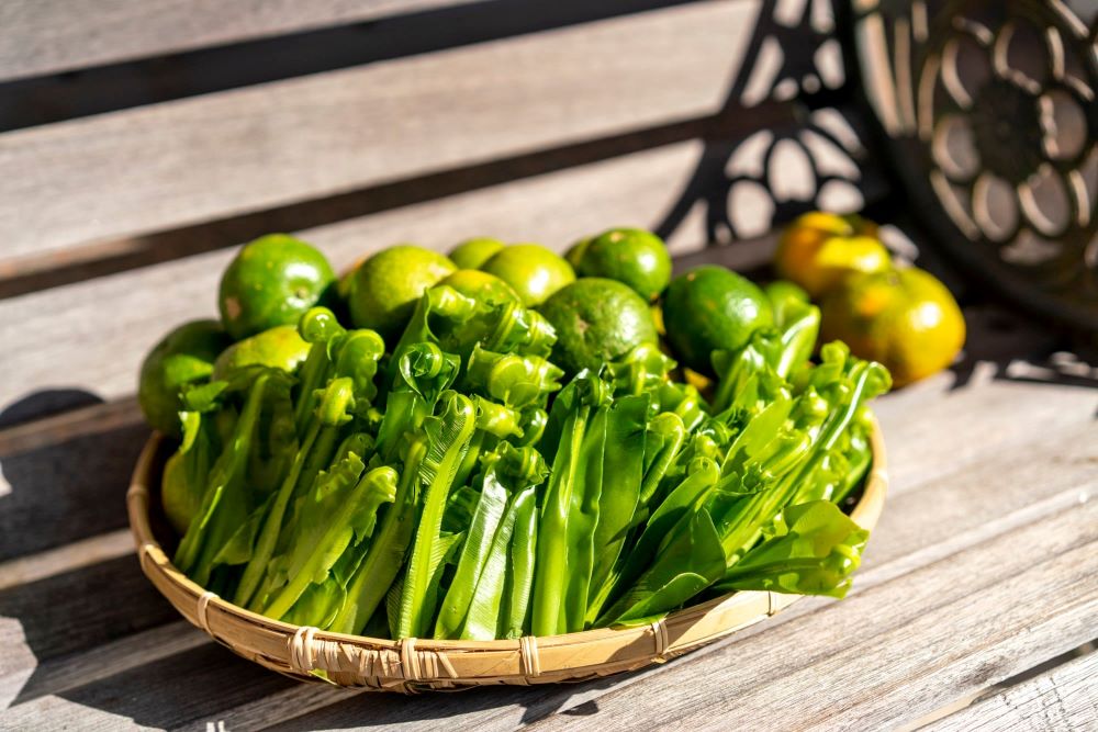 砂糖橘與山蘇,是在地重要作物