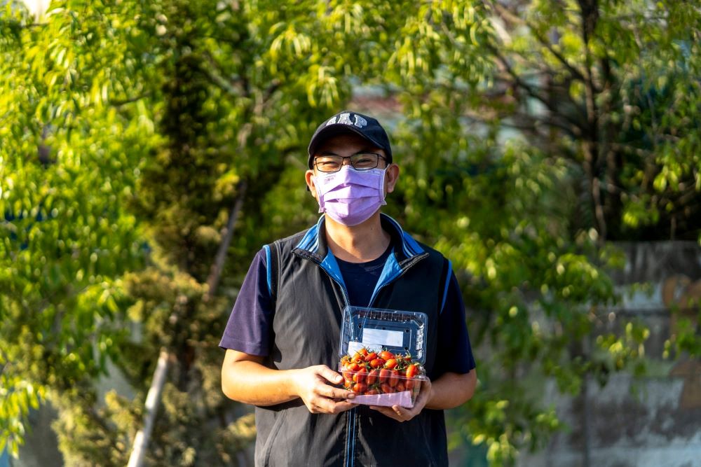 青農承翰的溫室玉女番茄是二林站特色產品。