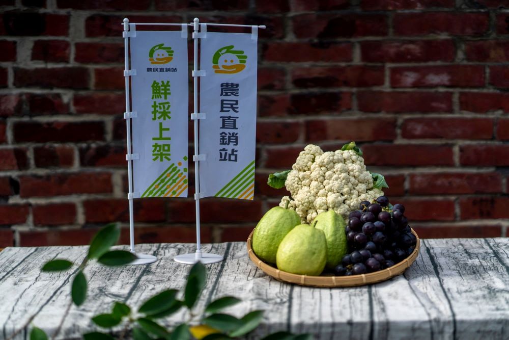 冬季正是當地芭樂與巨峰葡萄的產季