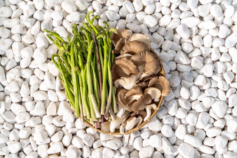 蕈菇、 蘆筍是埤頭的明星商品