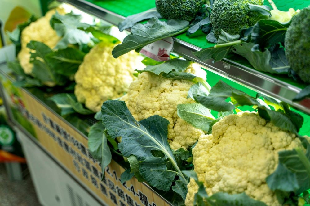 剛採收的花椰菜