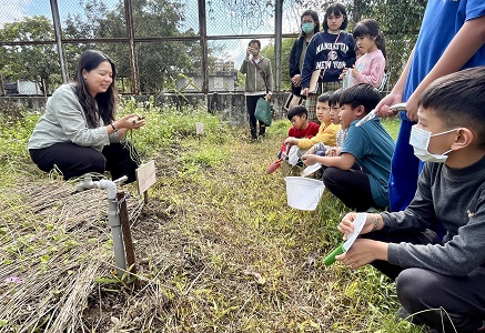 本場原民研究室吳伊婷（左）解說火蔥採收及晾乾方式