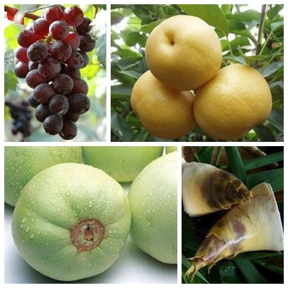 葡萄、水梨、香瓜和竹筍都是「夏至」時節的當令蔬果