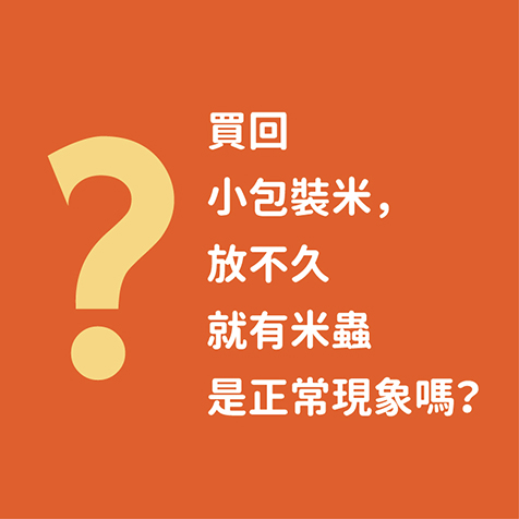 買回小包裝米，放不久就有米蟲是正常現象嗎