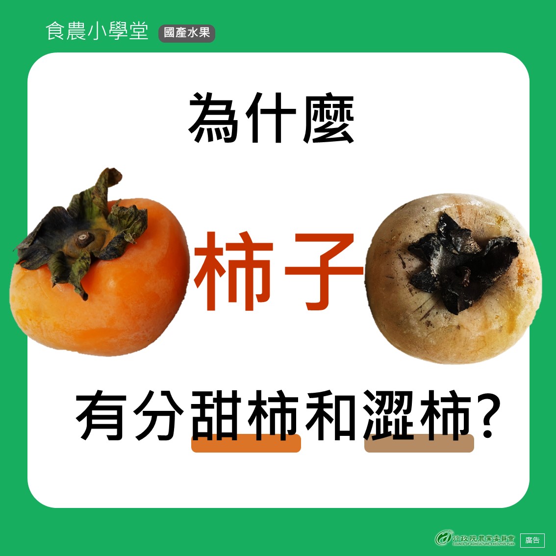 紅白火龍果，何者營養價值高？