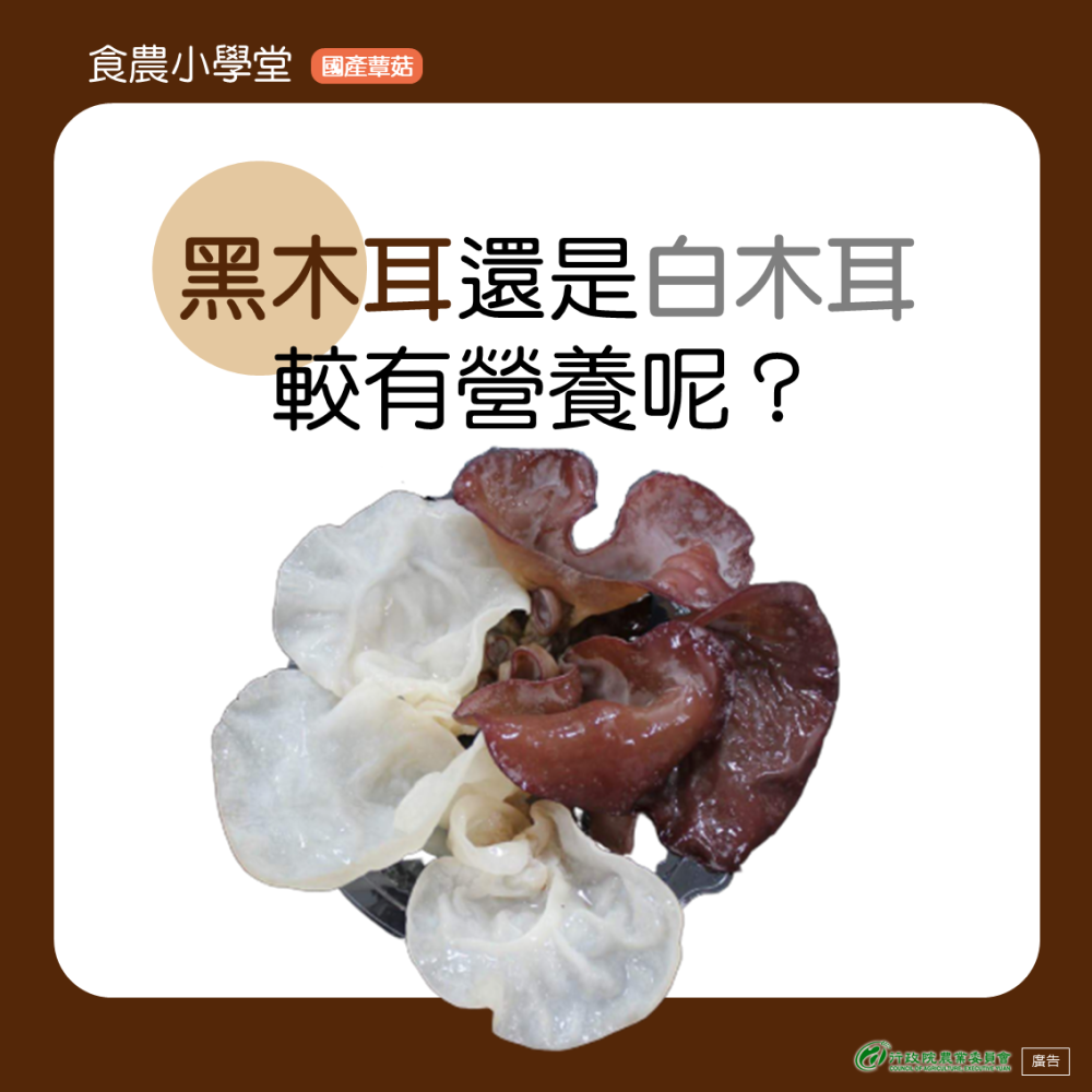 黑木耳還是白木耳較有營養呢？