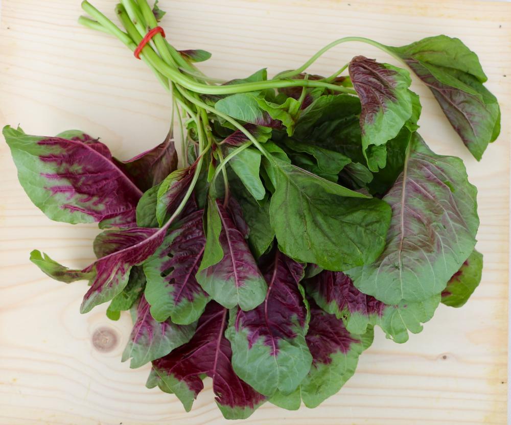 紅莧菜每100公克含鐵高達8.5毫克。