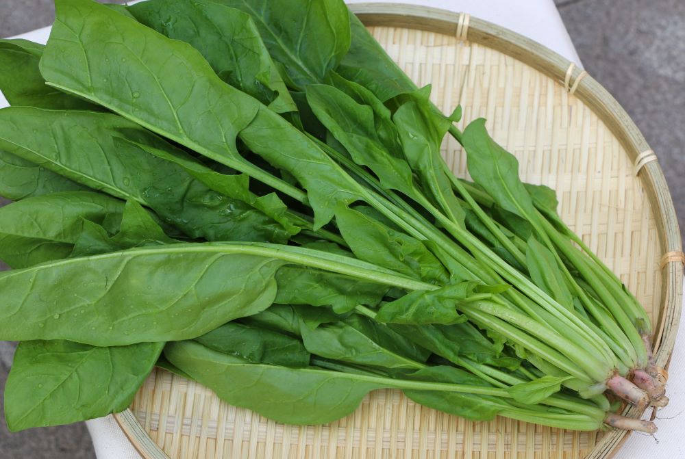 菠菜葉黃素含量豐富。