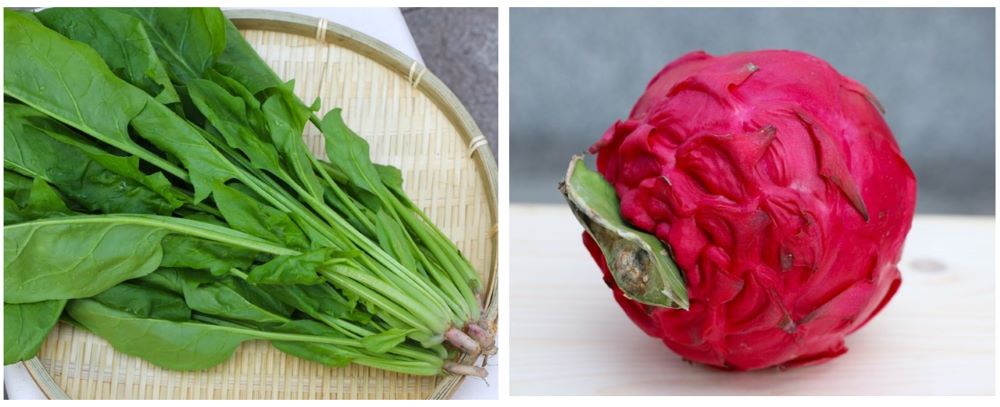 菠菜、紅龍果都富含鐵質。