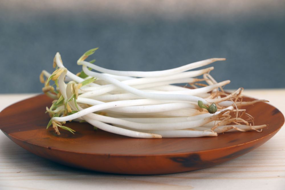 「發芽食材」如綠豆芽熱量低，營養好吸收。