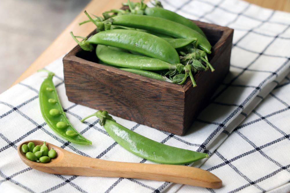 連果莢一起入菜的豆類如甜豆，則是「蔬菜豆」。