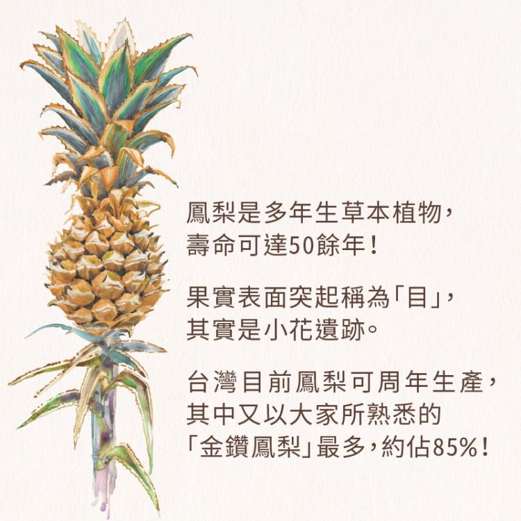 金鑽鳳梨