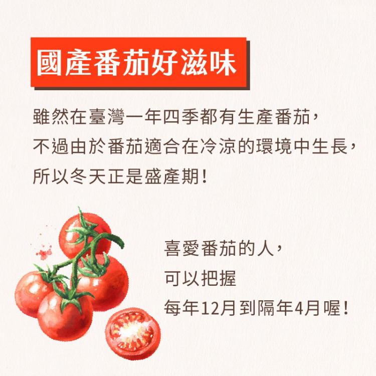 番茄產期