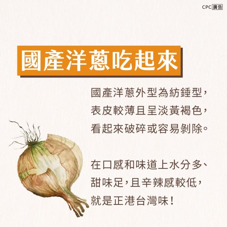 國產洋蔥外觀及味道