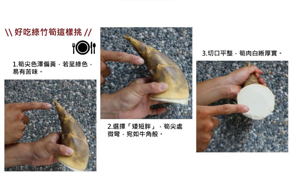綠竹筍挑選