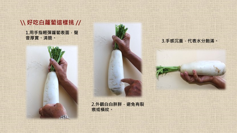好吃白蘿蔔這樣挑