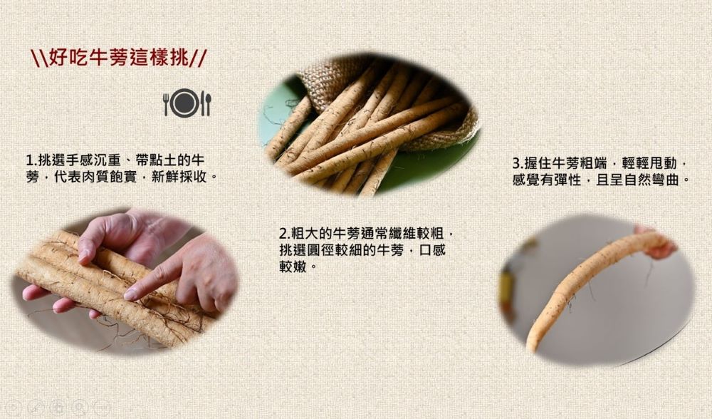 好吃牛蒡這樣挑