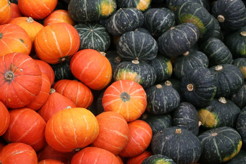 根莖類蔬菜及水果果皮都富含膳食纖維及可抗氧化的植化素。