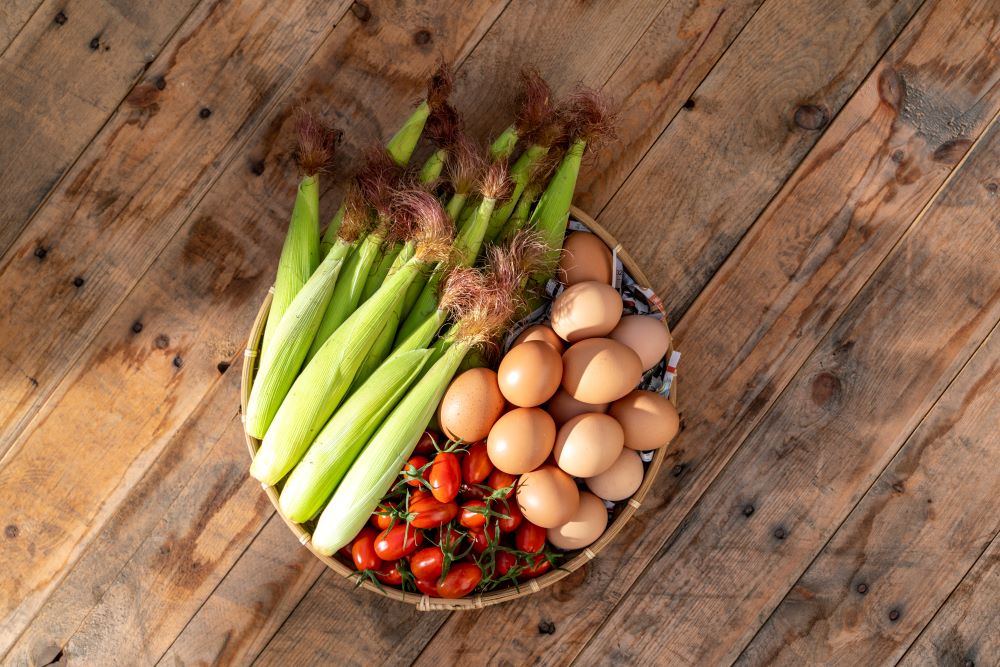 「全食物」飲食的過程便是一種食農教育。