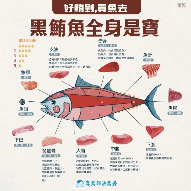 黑鮪魚全身是寶