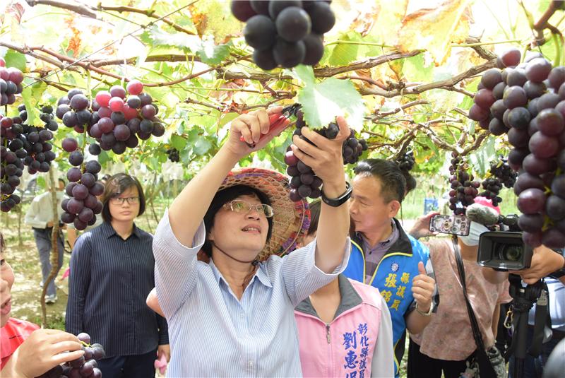 果實成熟採收