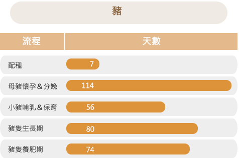 豬隻養殖生產曆