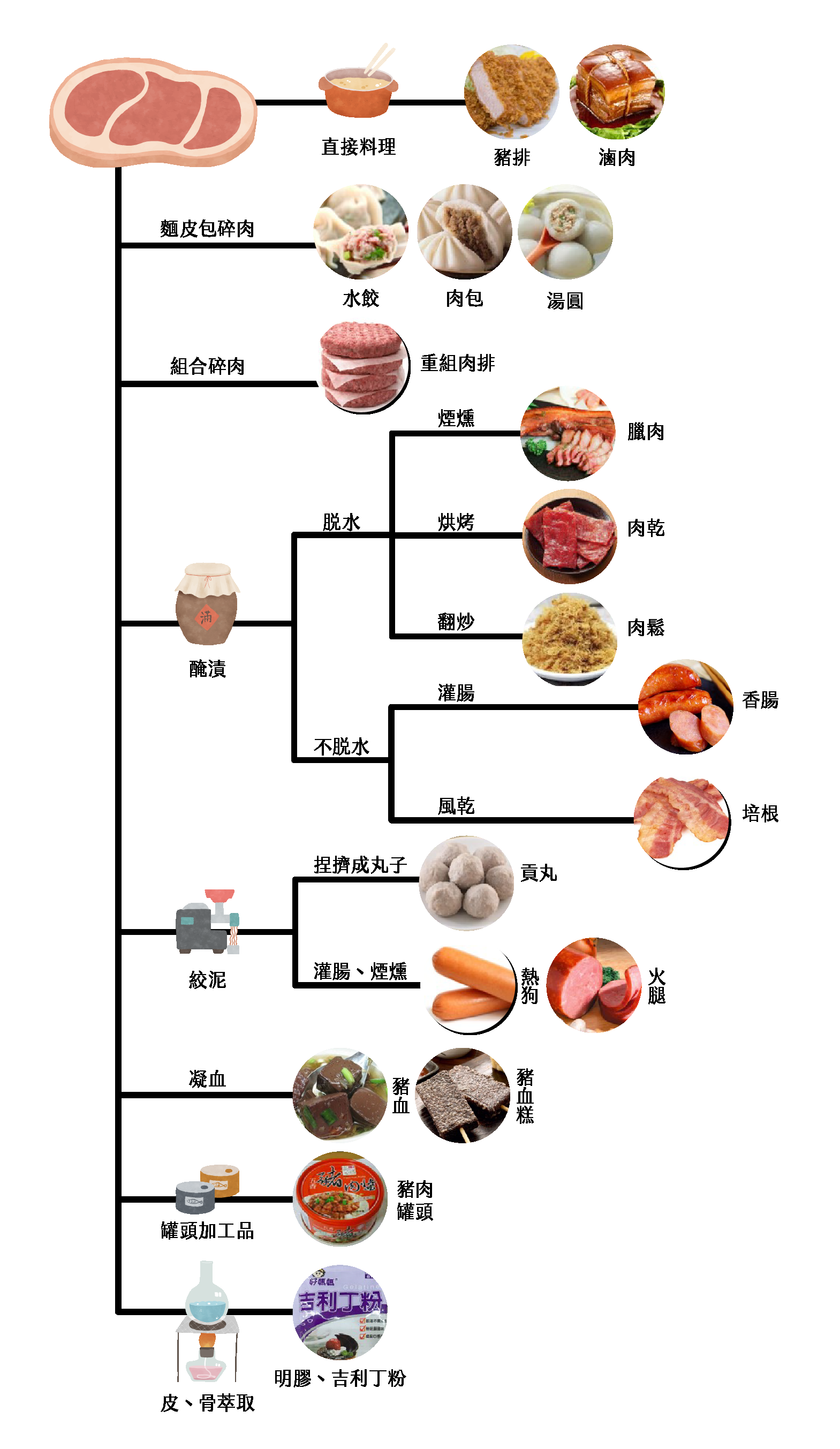 豬的加工應用