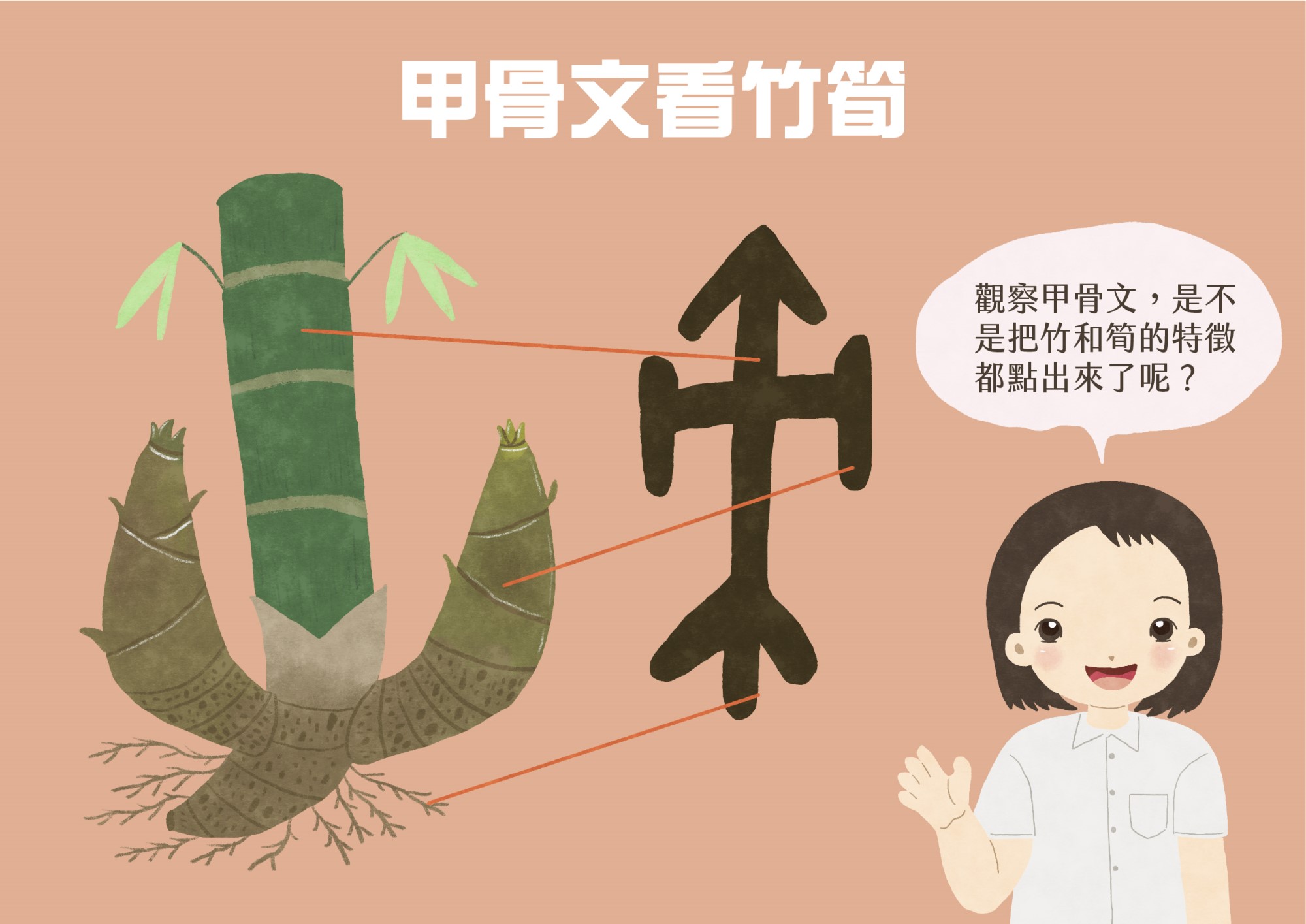 甲骨文看竹筍
