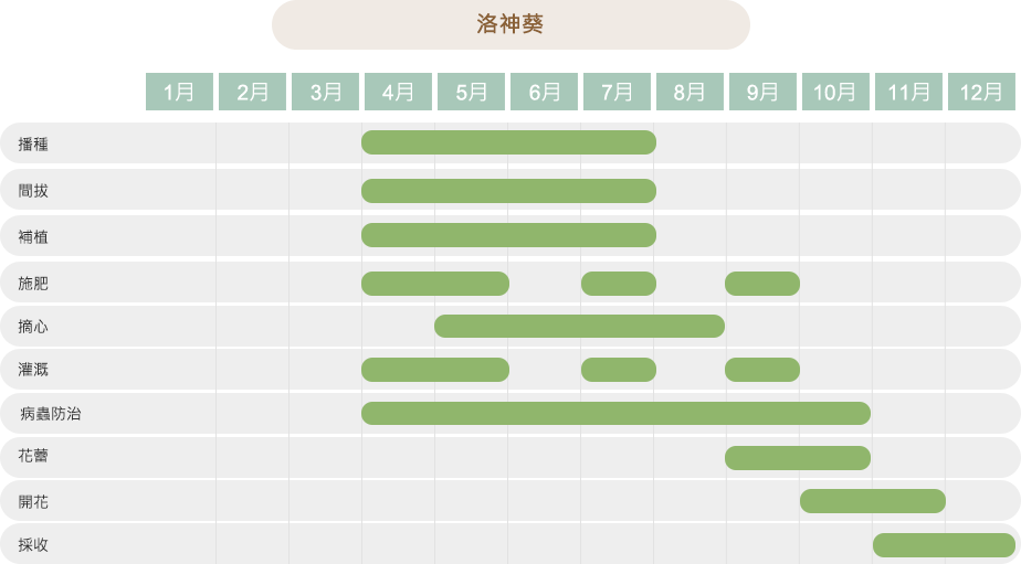 洛神葵作物栽培曆