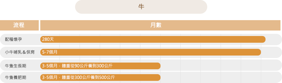 牛隻養殖生產曆