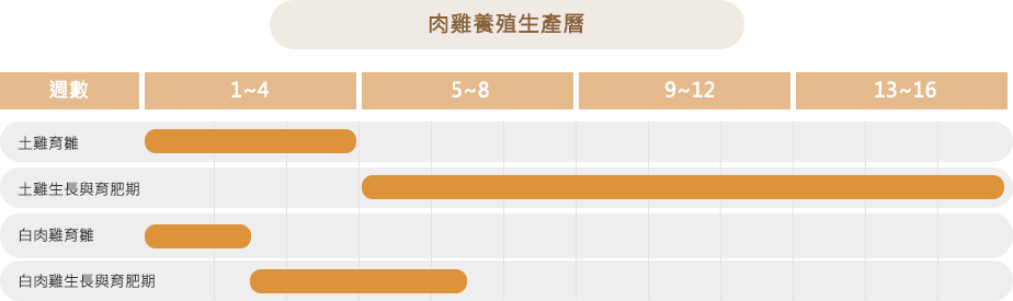 肉雞養殖生產曆