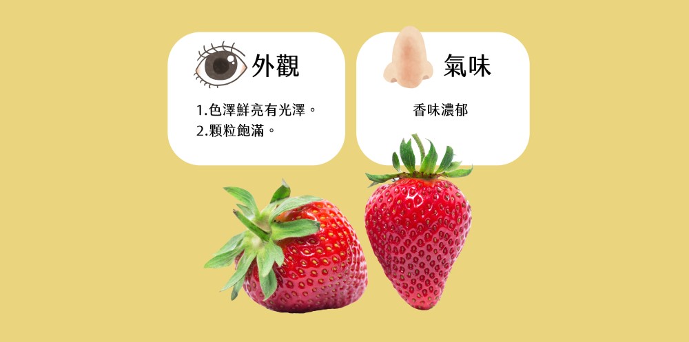 挑選方法