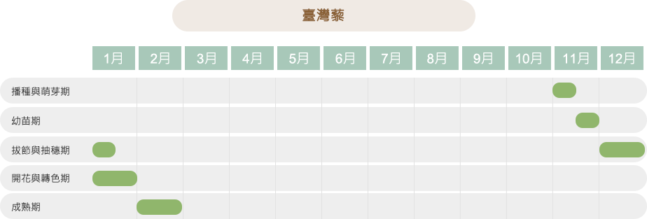 臺灣藜作物生育期