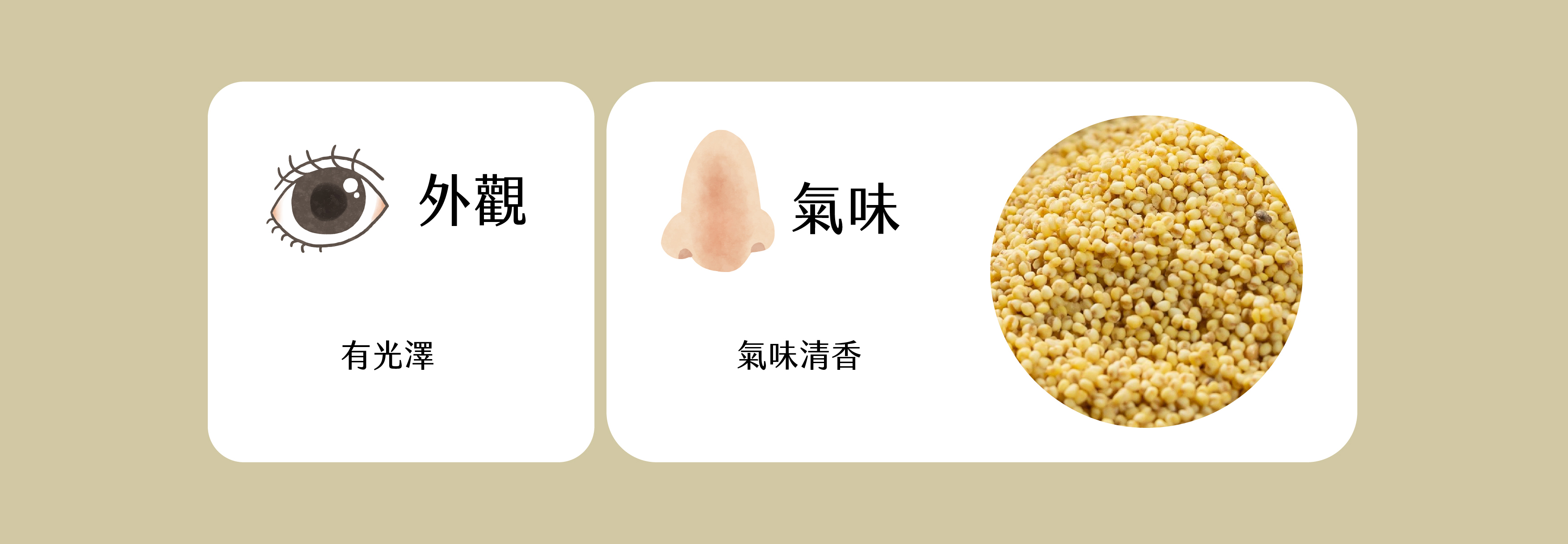 小米挑選方法