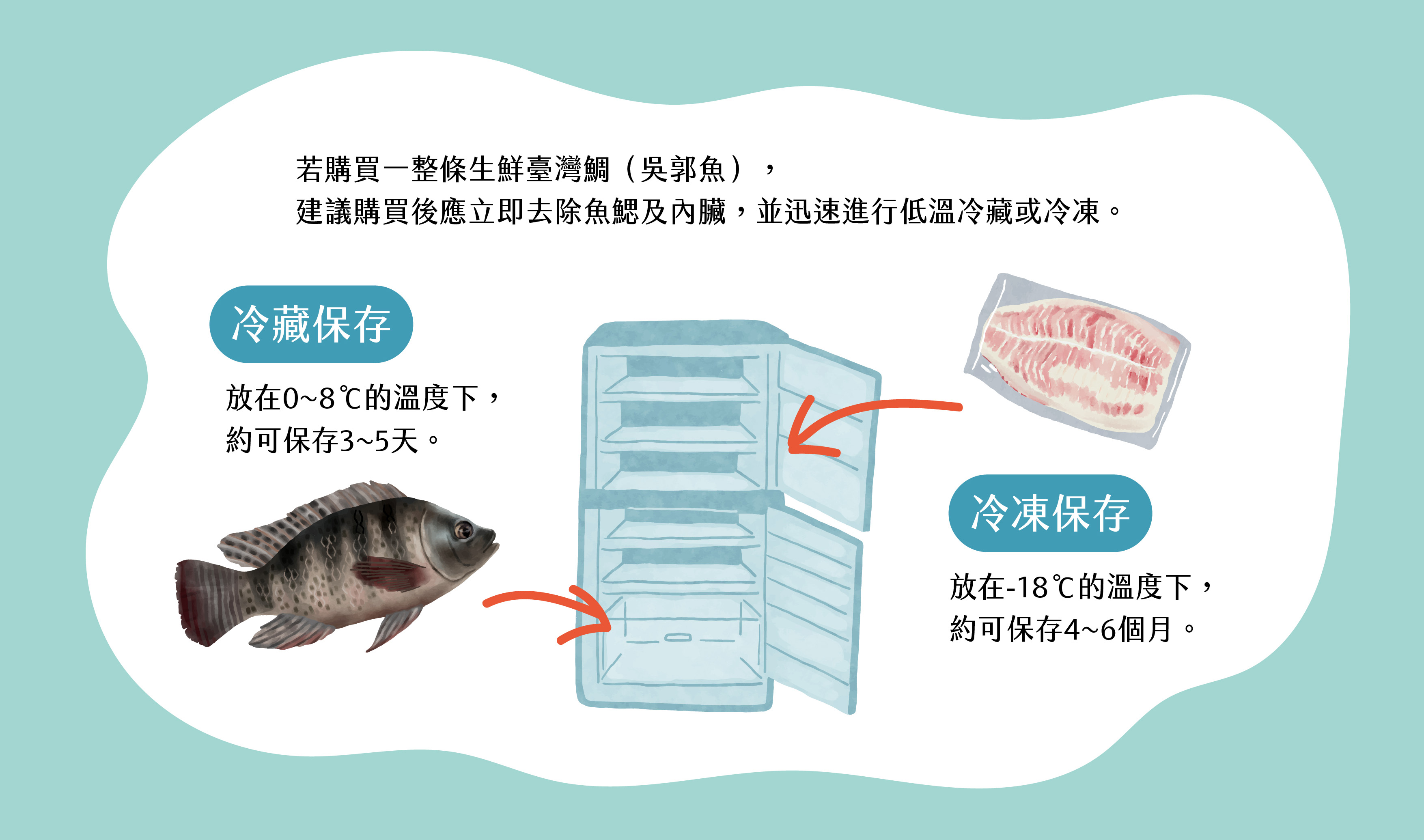 保存臺灣鯛