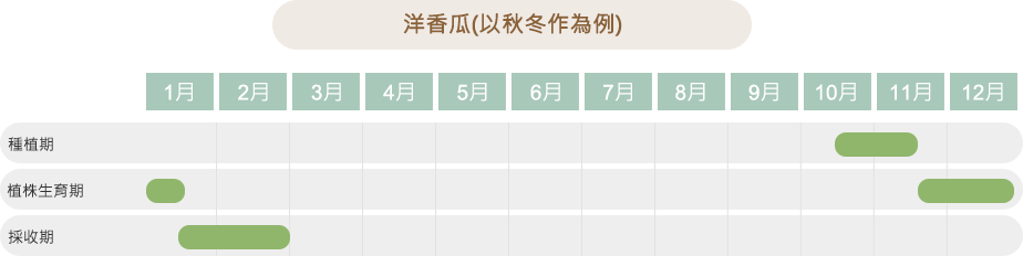洋香瓜作物栽培曆