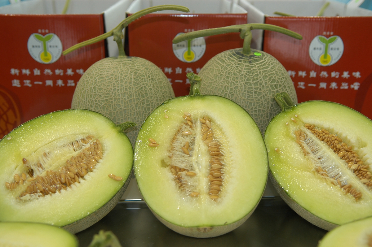 果肉綠色的洋香瓜（照片來源：農業部臺南區農業改良場）