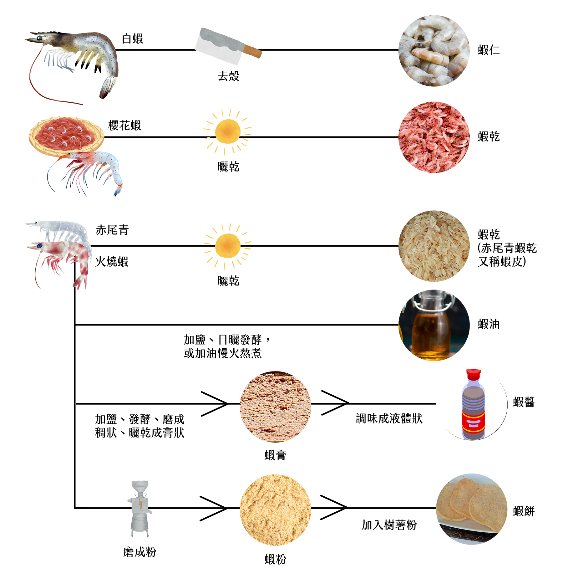 白蝦加工應用