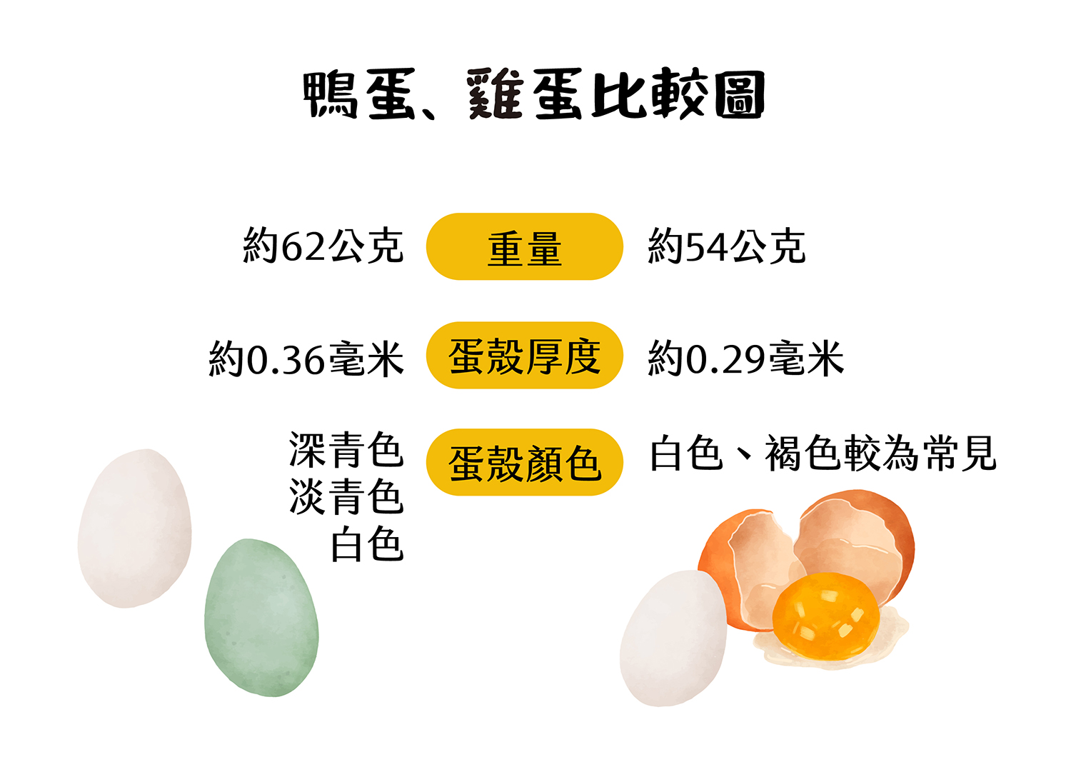 鴨蛋、雞蛋比較圖