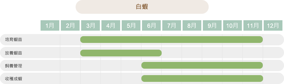 白蝦養殖生產曆