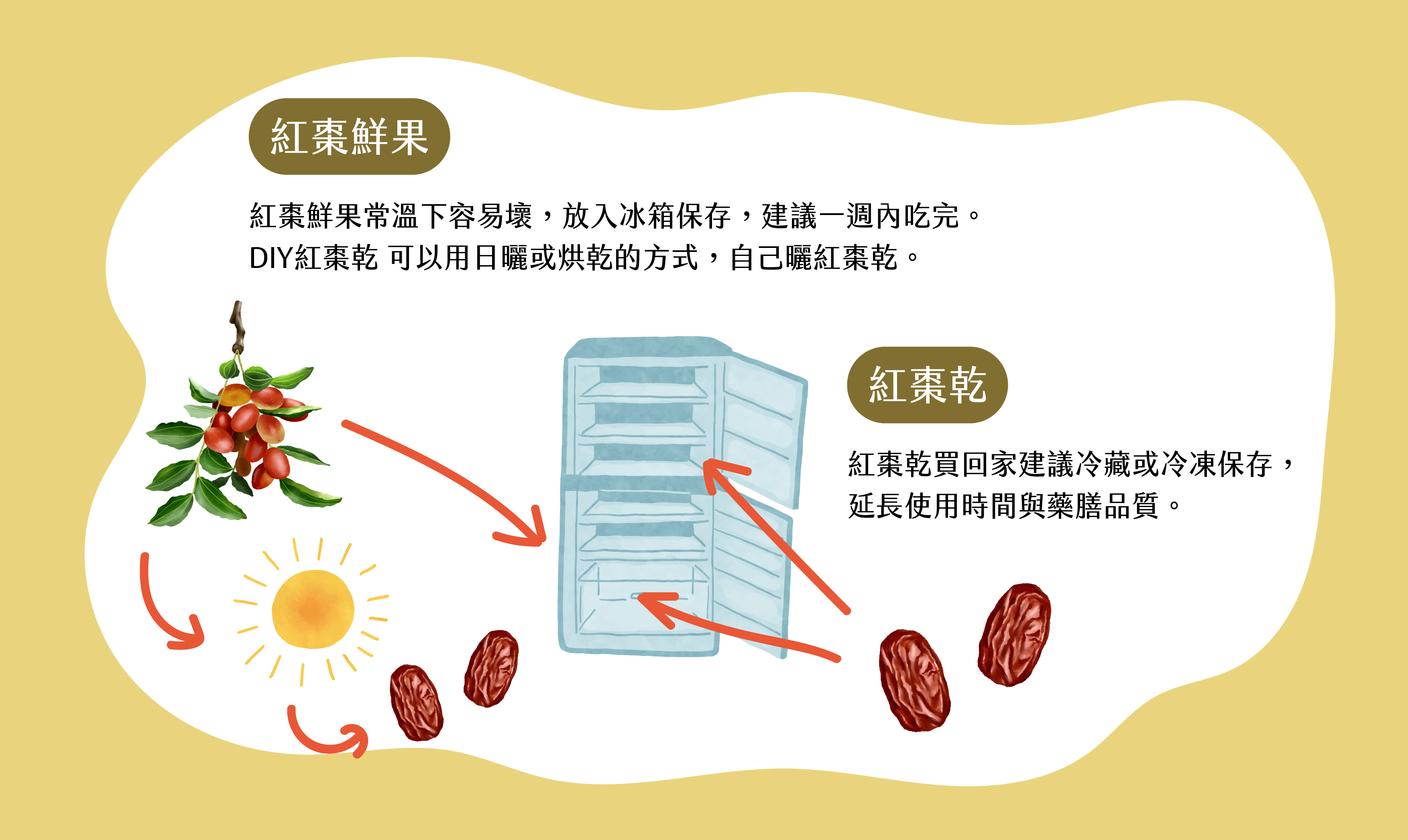 紅棗保存