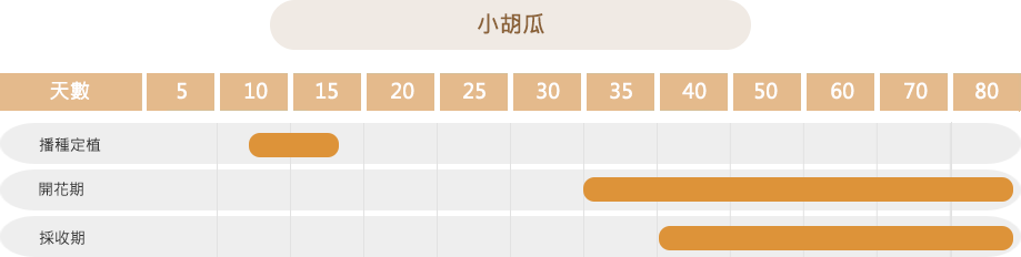 小胡瓜作物栽培曆